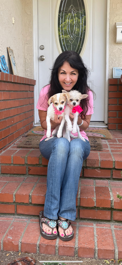 Princesses Pinky and Tiki's profile on Petfinder.com